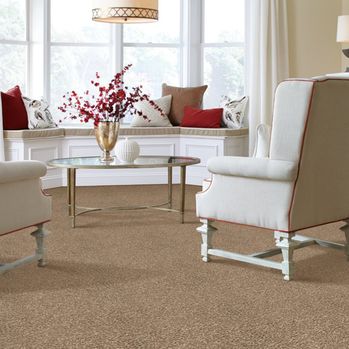 Living room with comfy carpet -  Outstanding Idea- Montego