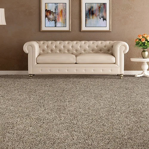 Valley Floor Covering providing stain-resistant pet proof carpet in Naugatuck, CT